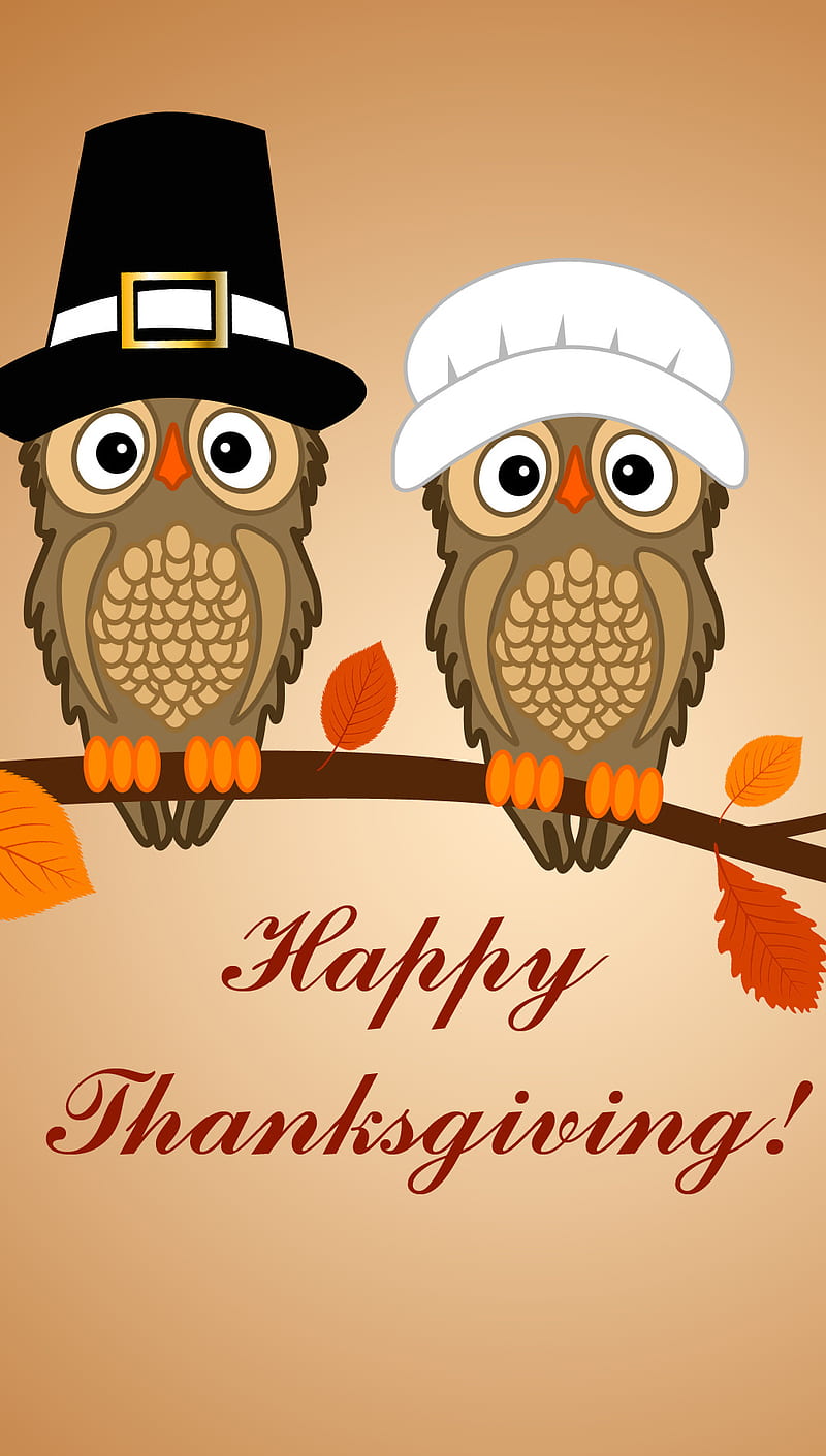 Happy Thanksgiving, autumn, fall, hats, leaves, owls, HD phone wallpaper