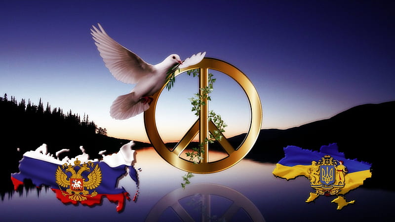 Peace between Russia and Ukraine, Peace sign, White Dove, Russia, Peace, Ukraine, Olive Branch, Golden, Gold, HD wallpaper