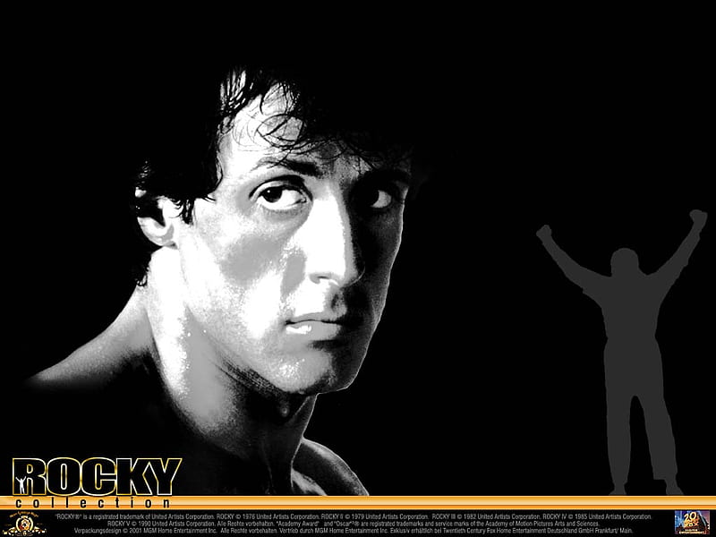 Rocky V HD Wallpapers and Backgrounds