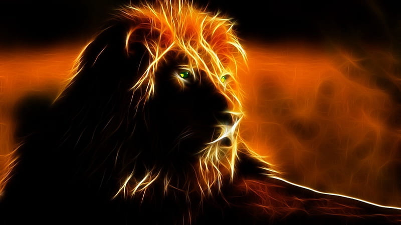 León del reggae, león del peligro, Fondo de pantalla HD | Peakpx