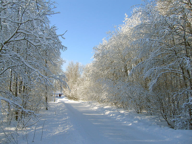 Winter, snow, finland, landscape, HD wallpaper | Peakpx