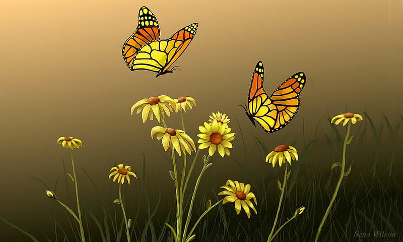 Flowers and Butterflies, Butterflies, daisies, brown, painting, flowers, yellow, HD wallpaper