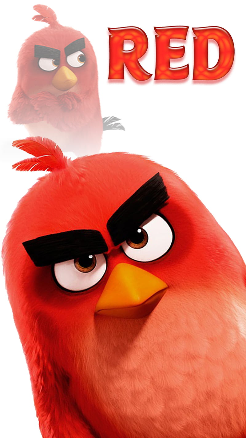 How to Draw Angry Birds