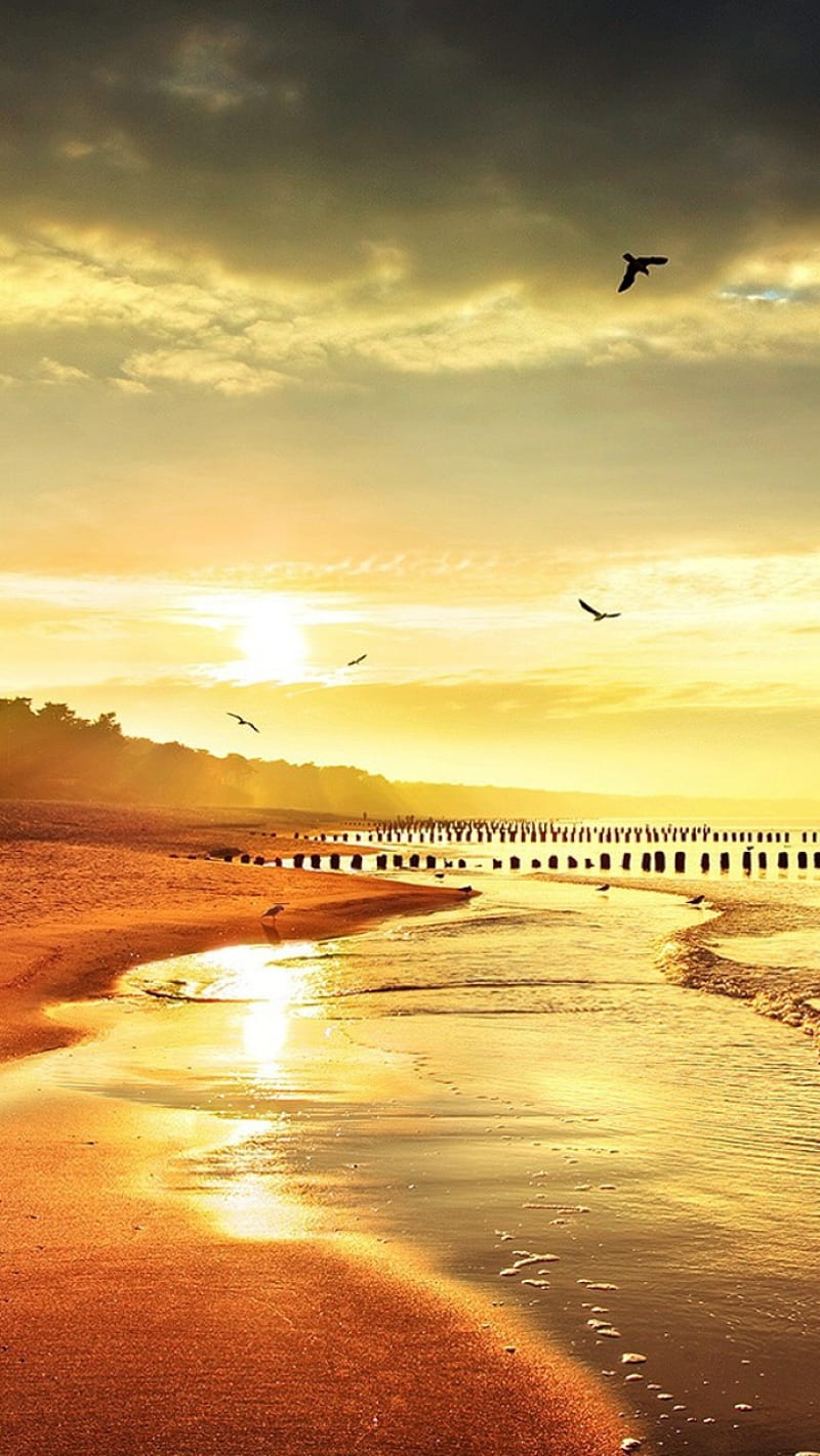 Sunset, background, beach, cool, nature, nice, sea, sunrise, view, HD phone wallpaper