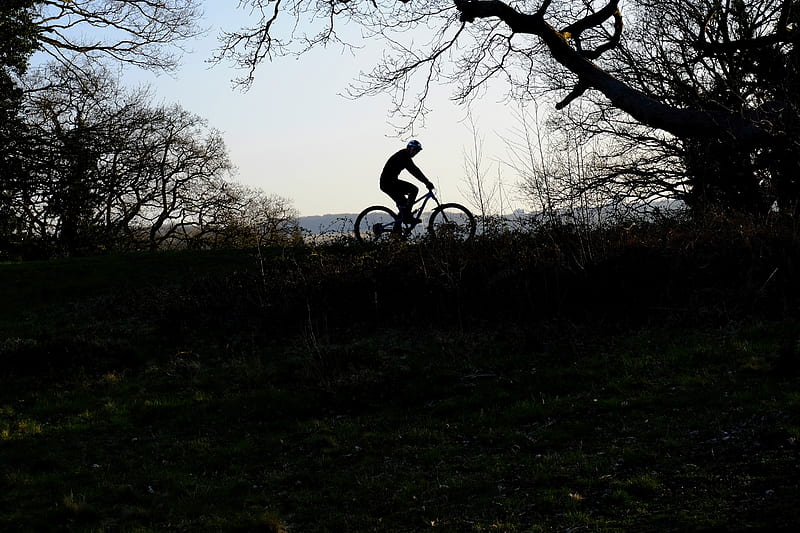 bike, cyclist, silhouette, riding, sport, trees, dark, HD wallpaper