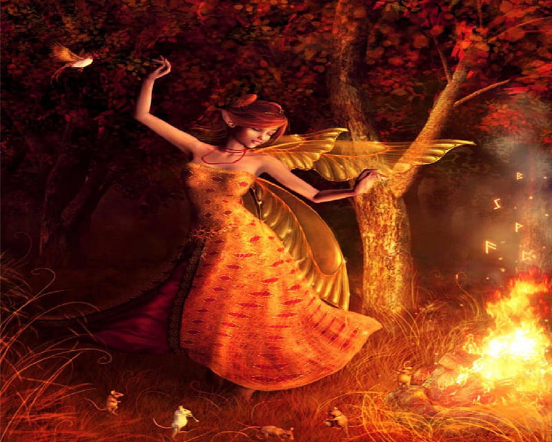 Night Dancing, fire, autumn, bird, mice, fairy, HD wallpaper