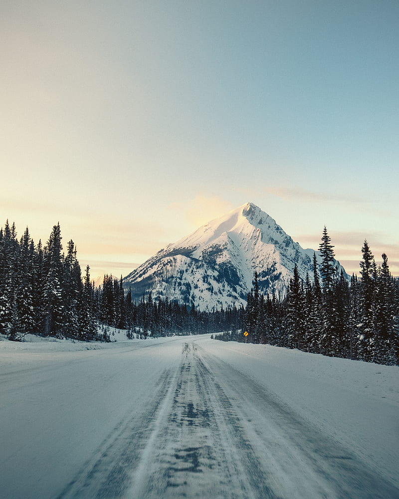mountain, road, snow, winter, trees, landscape, HD phone wallpaper