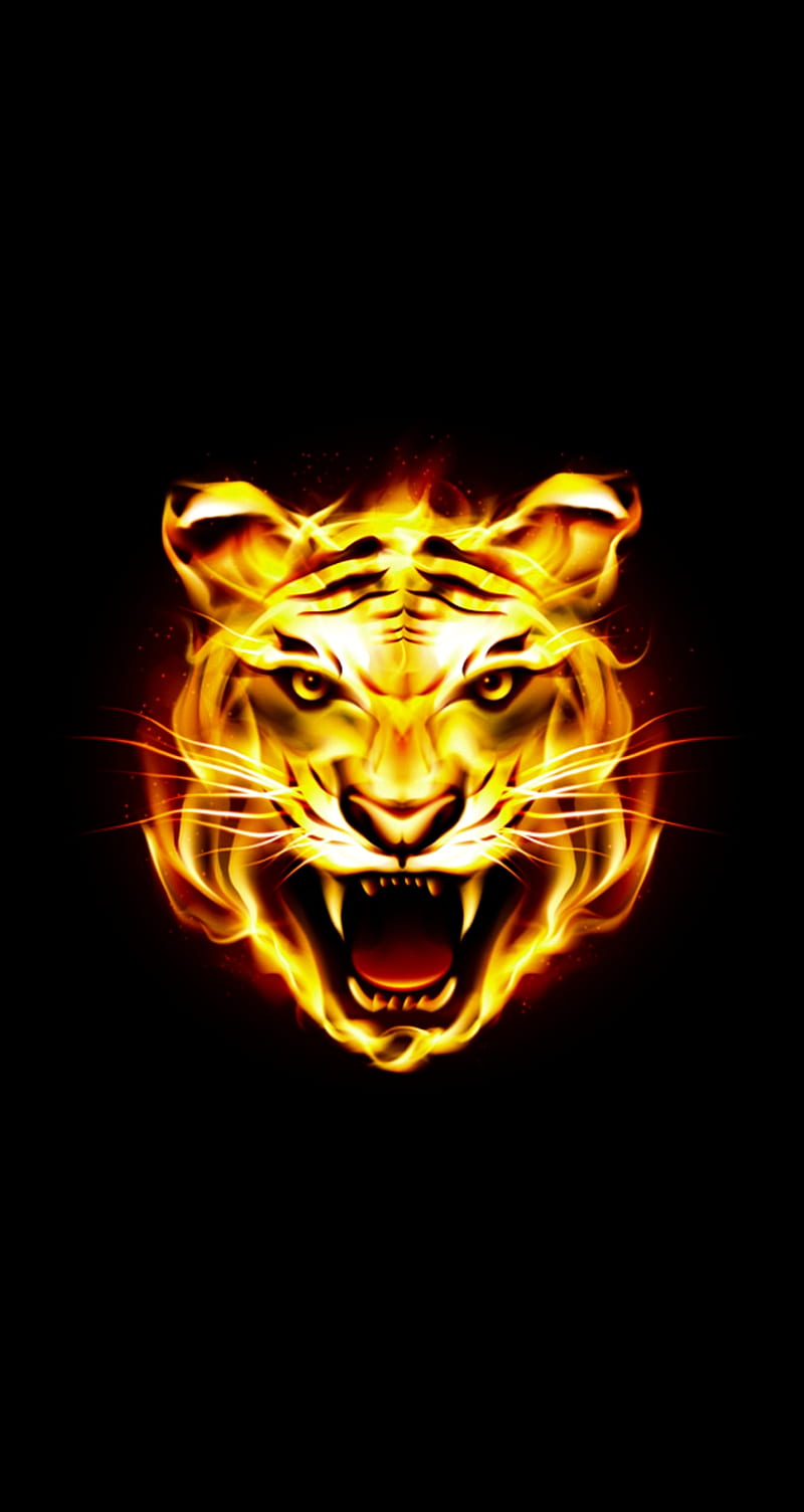 Tiger Fire, black, dark, fire, scary, skull, tiger, HD phone wallpaper |  Peakpx