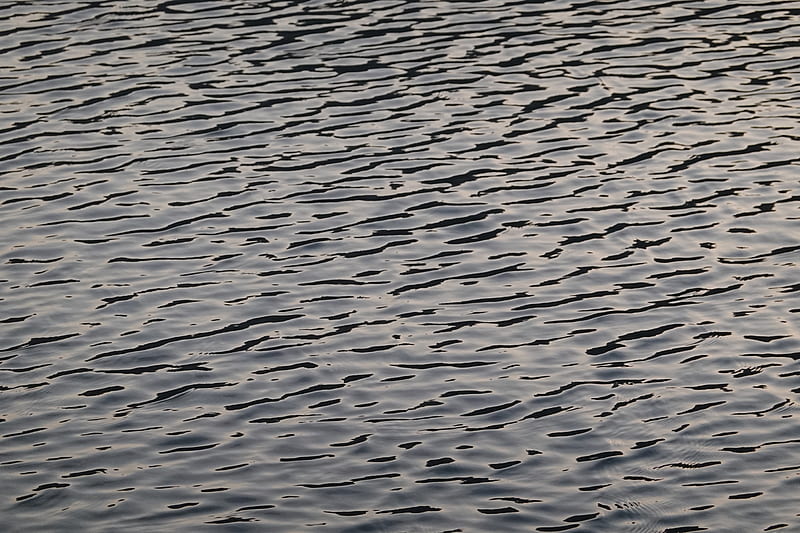 ripples, water, surface, waves, HD wallpaper