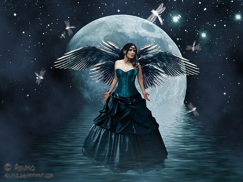 moon fairy, dress, bonito, woman, relection, ball, moon, fairy, night, stars, wings, gown, skirt, black, sky, water, dragonflies, the, white, HD wallpaper