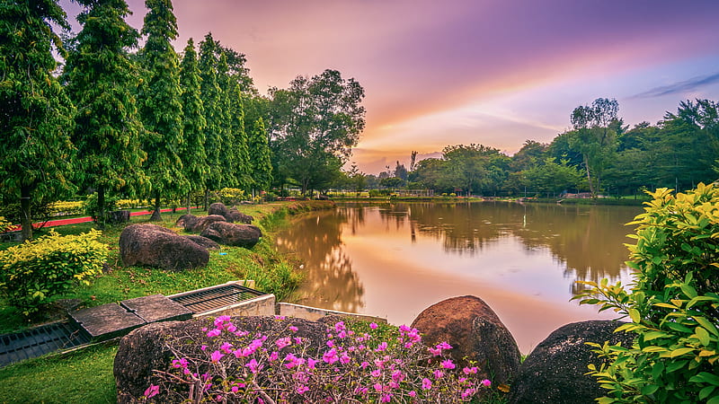 Lake Surrounded By Green Trees And Flowers Under Light Purple Sky Nature,  HD wallpaper | Peakpx
