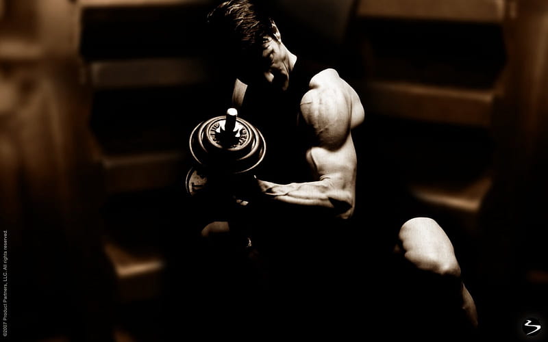 Pumping Iron, weight training, working out, weightlifting, HD wallpaper