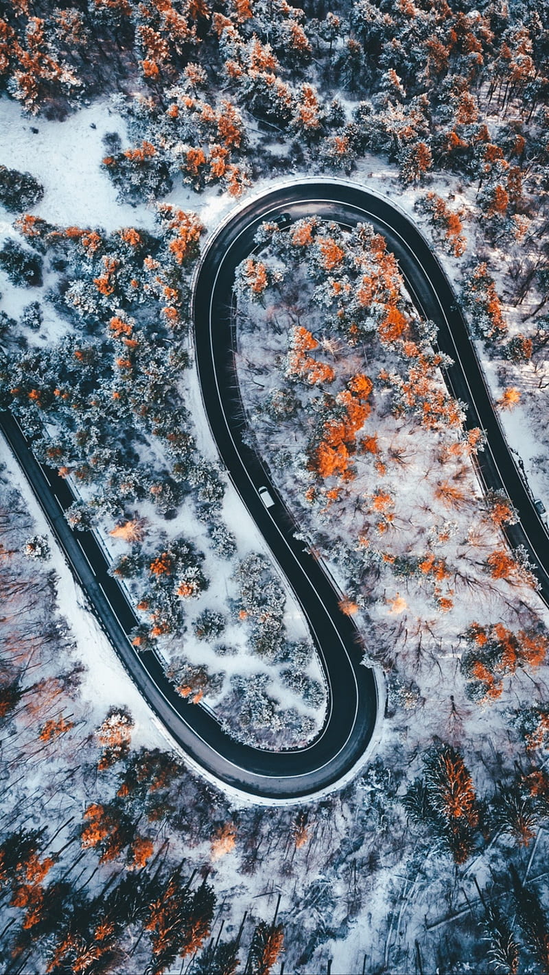 Road snake, black, blue, edge, full, galaxy, letter, plus, snakes, HD phone wallpaper