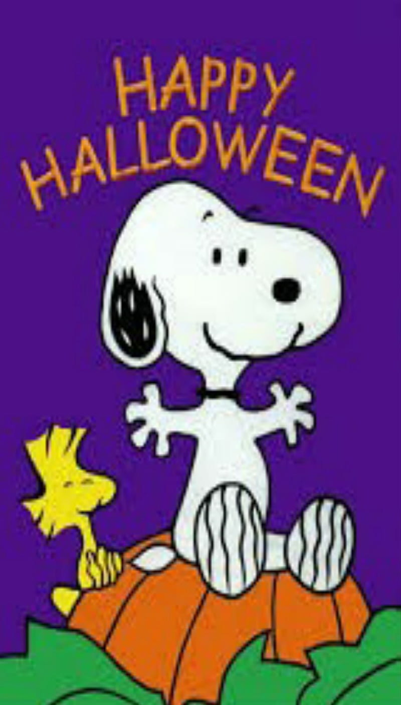 Download Charlie Brown Friends Halloween Stroll Wallpaper  Wallpaperscom