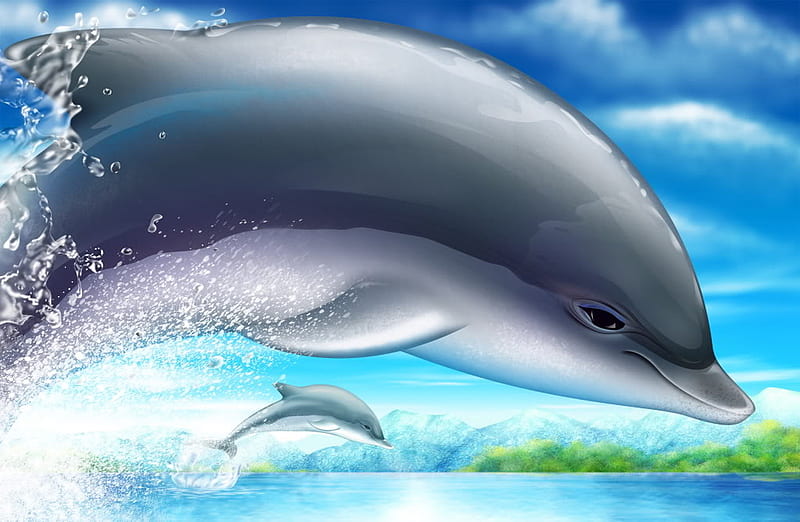 dolphins, layout, myspace, HD wallpaper