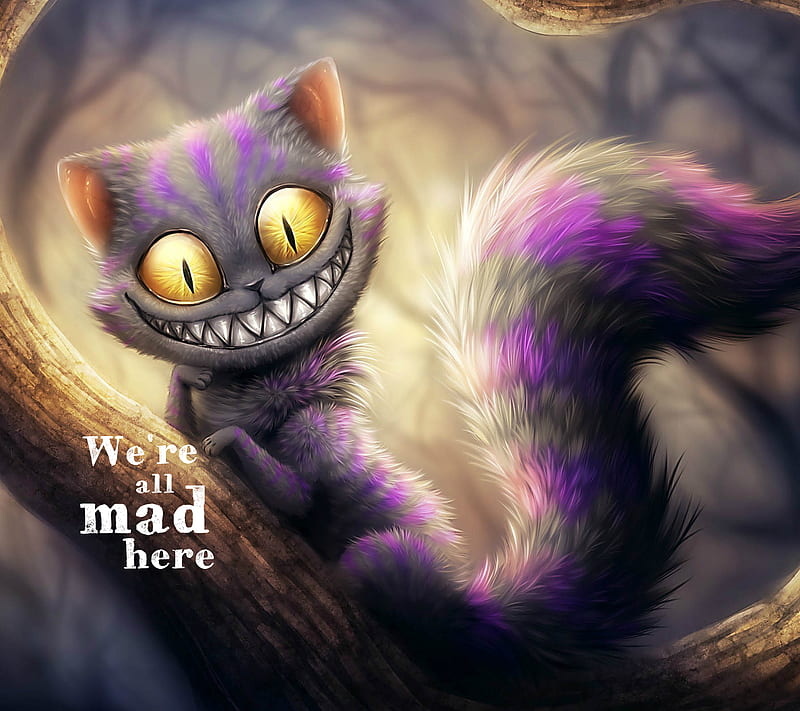 purple cat, alice in wonderland, cheshire cat, mad, purple, HD wallpaper