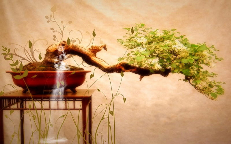 Bonsai plants, bonsai, tree, leaves, plants, nature, pot, branch, HD wallpaper