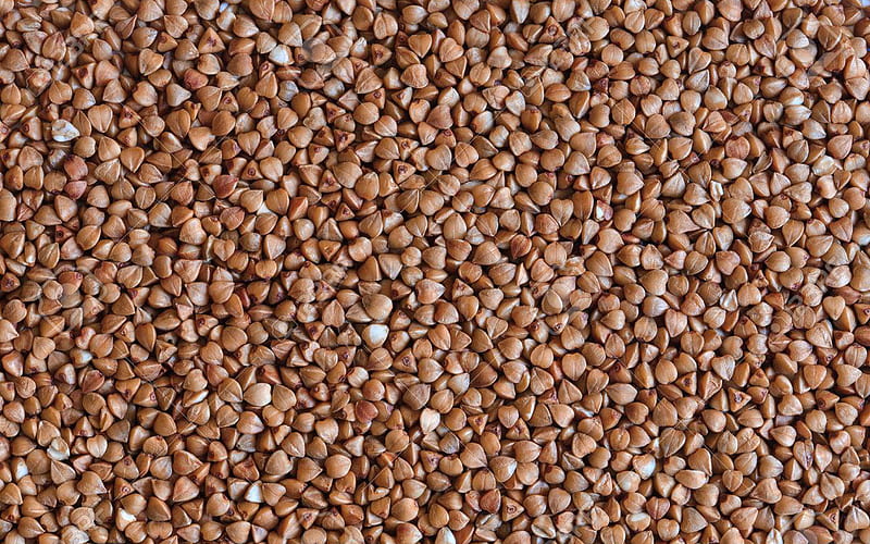buckwheat textures, cereals, food textures, buckwheat, macro, groats textures, buckwheat backgrounds, HD wallpaper