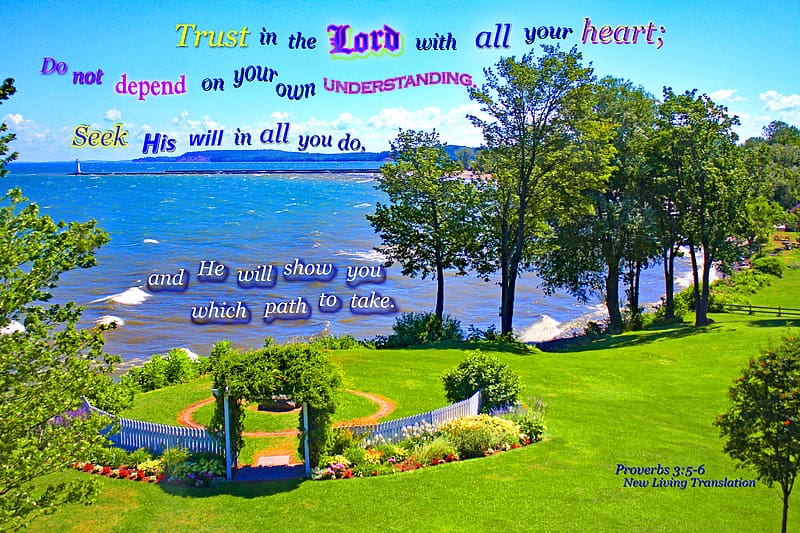 Trust in the Lord, flowers, Bible, lake, trees, grass, park, HD wallpaper Trust in the Lord, flowers, Bible, lake, trees, grass, park, HD wallpaper