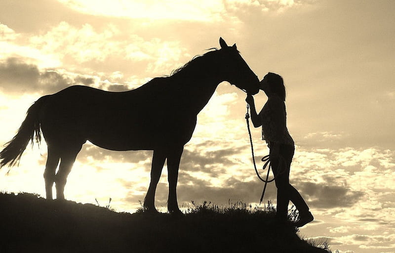 Kiss My Horse, female, models, boots, ranch, skylines, fun, silhouette, women, horses, cowgirls, girls, western, style, HD wallpaper