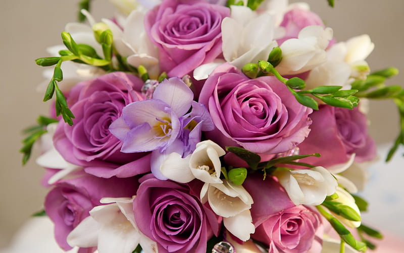 Bouquet, sia, purple, rose, flower, white, pink, HD wallpaper