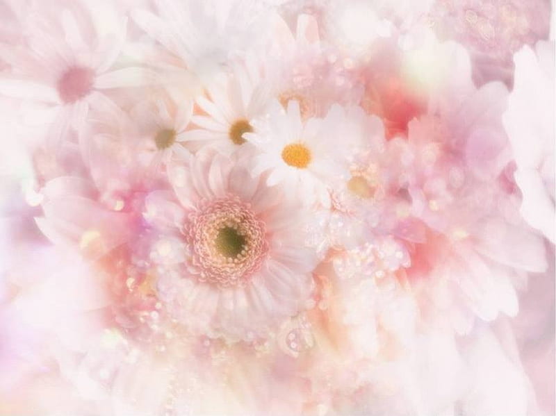 cute cartoon pastel daisy flowers seamless pattern illustration Stock Photo   Alamy