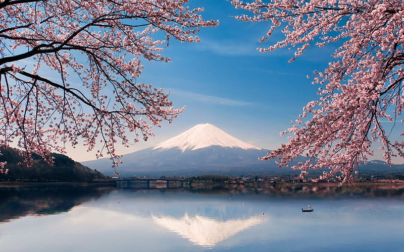 Fujiyama, stratovolcano, spring, sakura, lake, japan, Mount Fuji, cherry blossom, spring landscape, HD wallpaper