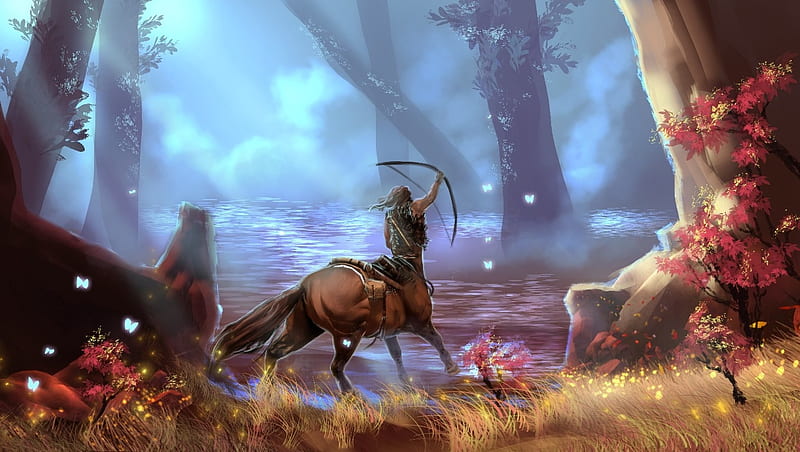 centaur archer, forest, grass, archer, centaur, HD wallpaper