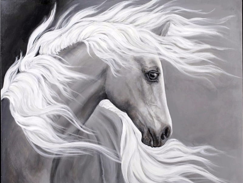 Ghost Horse, Horse, Wind, Ghost, White, Animals, Hd Wallpaper 