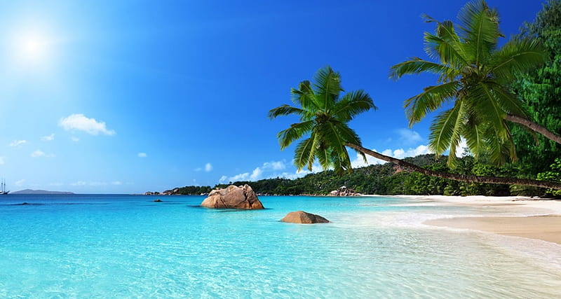 Coco Island, Seychelles, crystal clear water, bonito, palms, sea, beach, sand, paradise, summer, blue sky, island, sailboat, tropical, HD wallpaper