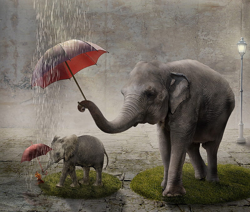 Best friends, umbrella, rain, animal, red, veverita, squirrel, pepexx, elephant, creative, cute, fantasy, HD wallpaper