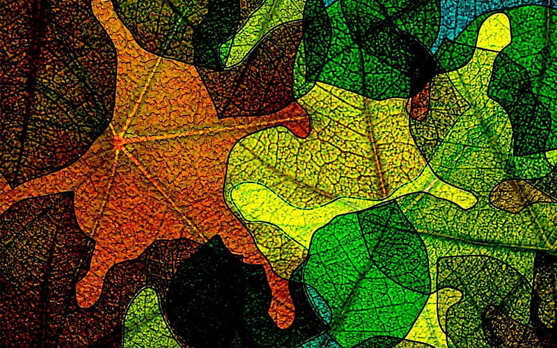colorful leaves texture, abstract leaves pattern, autumn leaves, leaves texture, colorful leaf, macro, leaf pattern, leaves, leaf textures, colorful leaves, abstract leaves texture, HD wallpaper