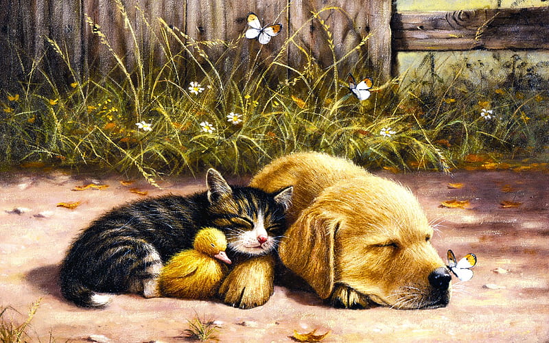 Nap time, kevin walsh, art, sleep, caine, cat, cute, painting, kitten, pictura, duckling, pisica, puppy, dog, HD wallpaper