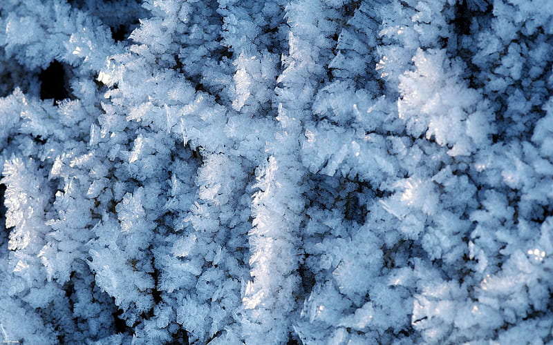 Frost, frosted, abstract, winter, cold, frosty, graphy, macro, close-up, ice, nature, frozen, HD wallpaper