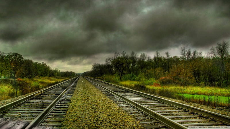 parallel train tracks r, fields, weeds, trees, clouds, tracks, HD wallpaper