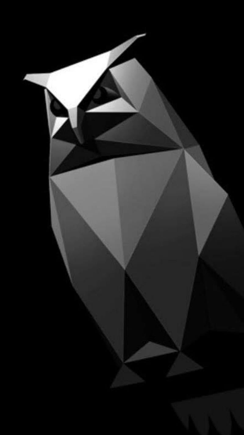 cyberowl, black, cyber, cybertruck, gray, owl, sharp, tesla, HD phone wallpaper