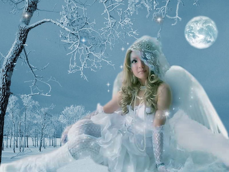 Snow Fairy Fantasy, forest, wings, black, trees, winter, fantasy, moon, snow, peach, white, pink, fairy, blue, frost, HD wallpaper