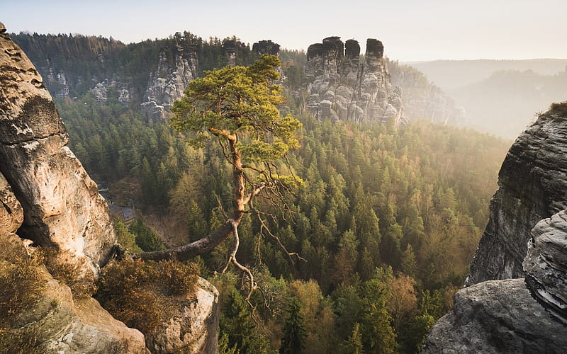 Mountains in Saxony, germany, trees, landscape, mist, HD wallpaper