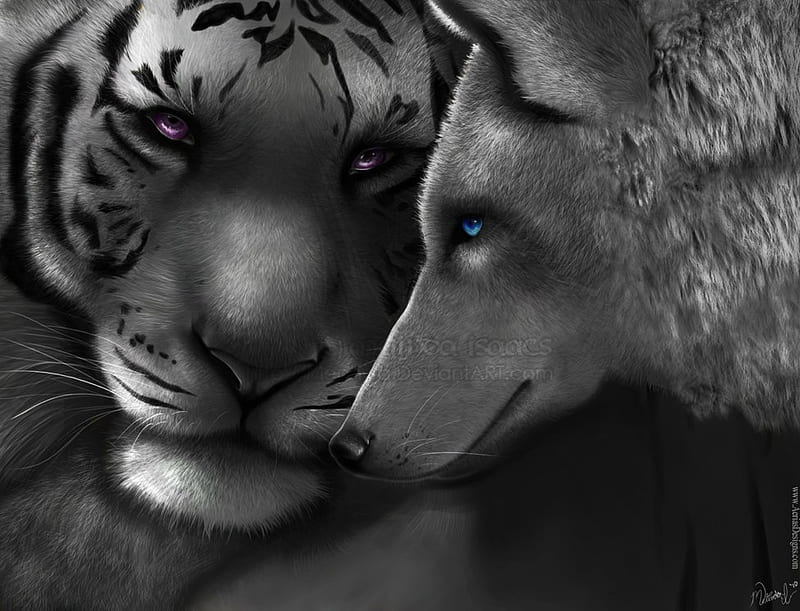 Bound Together, friend, tiger, wolf, animals, bound, HD wallpaper