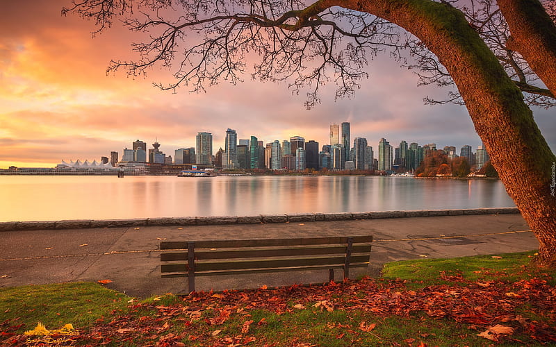 Autumn in Vancouver, Canada, Canada, promenade, autumn, tree, cityscape, bench, river, HD wallpaper