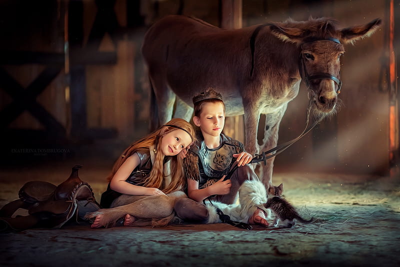 Little girl, pretty, donkey, adorable, sweet, sightly, nice, love beauty, face, child, bonny, lovely, leg, blonde, pure, baby, cat, cute, feet, white, Hair, little, Nexus, bonito, dainty, animal, kid, graphy, fair, people, pink, Belle, comely, boy, girl, princess, childhood, HD wallpaper