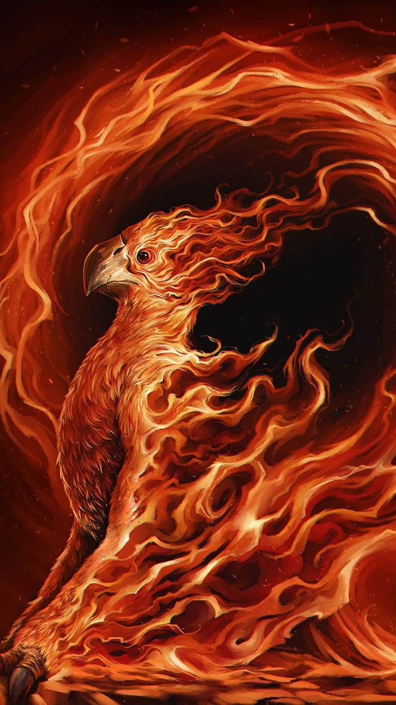 Phoenix Bird, Fire Background, art work, immortal bird, HD phone wallpaper