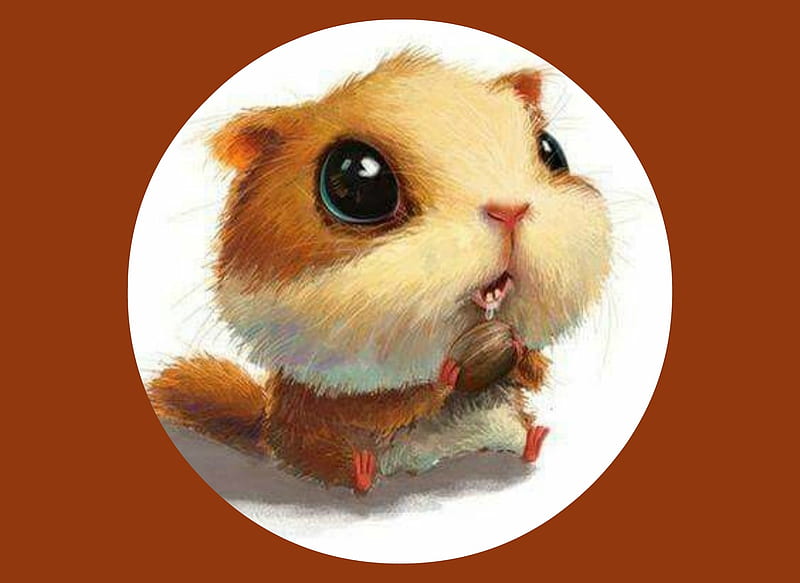 Chippy, Cute, Brown, Chipmunk, graphy, Eyes, HD wallpaper