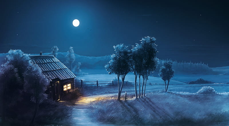 * HAVE A GOOD NIGHT MY FRIENDS *, nature, house, night, winter, HD wallpaper