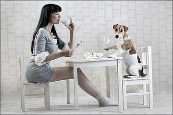 Funny date, pretty, table, funny animals, sexy, graphy, girl, dine, funny,  chair, HD wallpaper | Peakpx