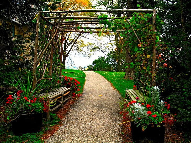 beautiful garden, pot flowers, roses wreath, grass, bonito, park, greens, wooden benchs, alley, HD wallpaper