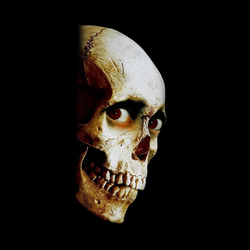 Evil Dead, skull, HD phone wallpaper | Peakpx