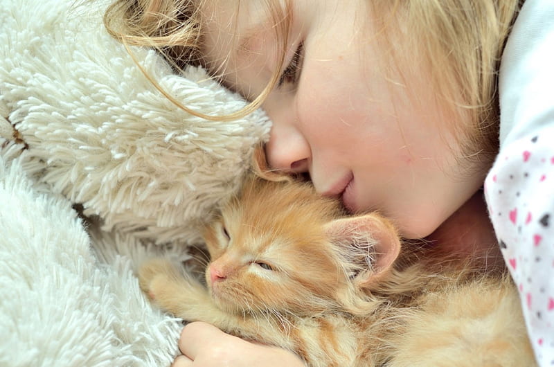 Sleeping beauties, little, orange, ginger, blonde, cat, sleeping, animal, sweet, cute, girl, child, kitten, fur, HD wallpaper
