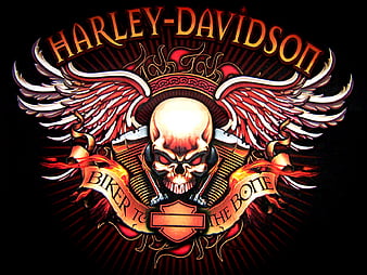 pink harley davidson logo with wings