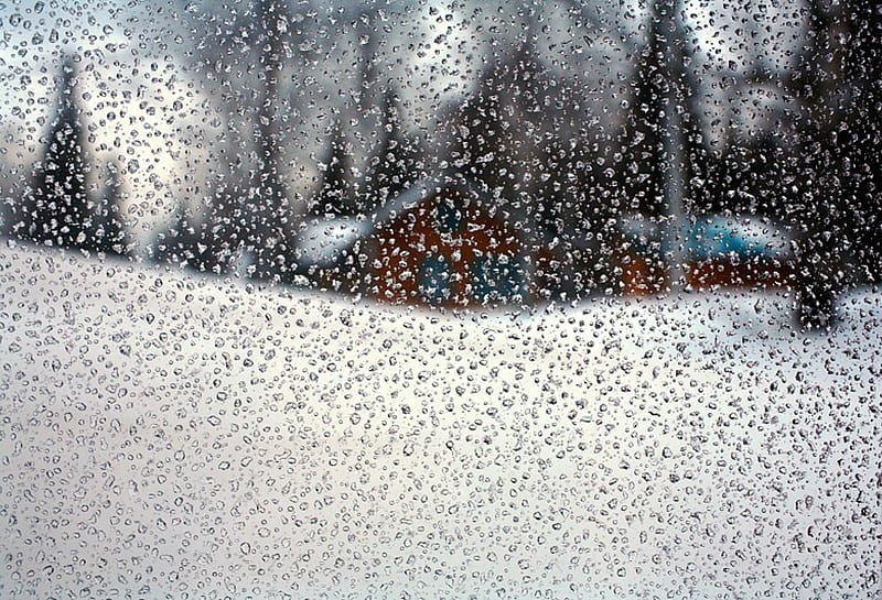 Looking out a Window at Nature, Forest, Snow, Window, Cabin, HD wallpaper